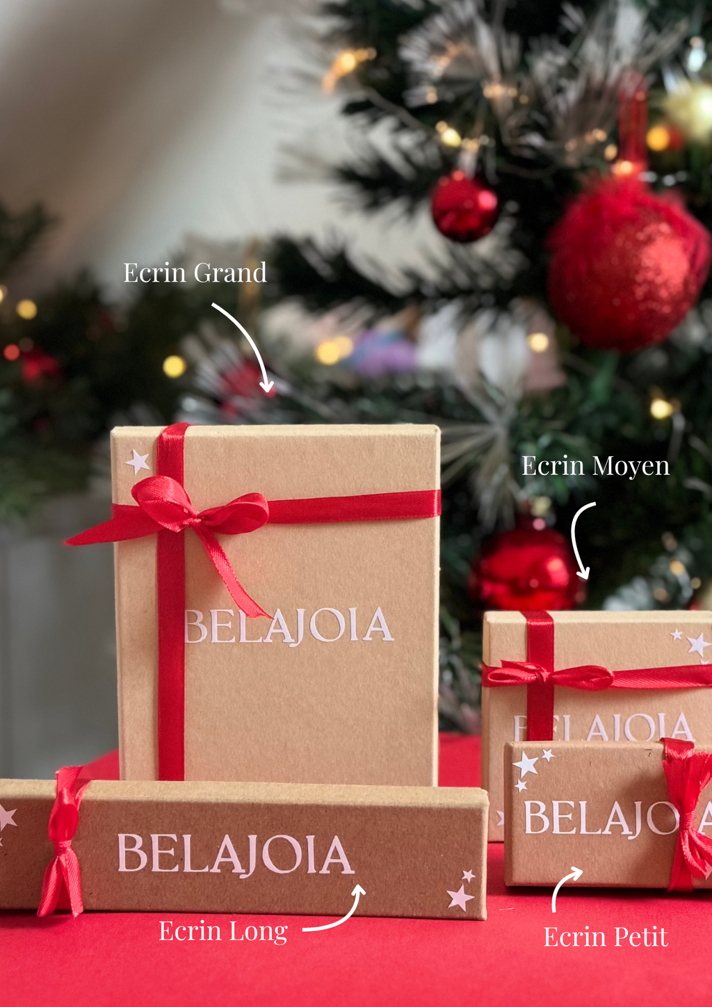 Emballage Cadeau - Ecrin & Sac