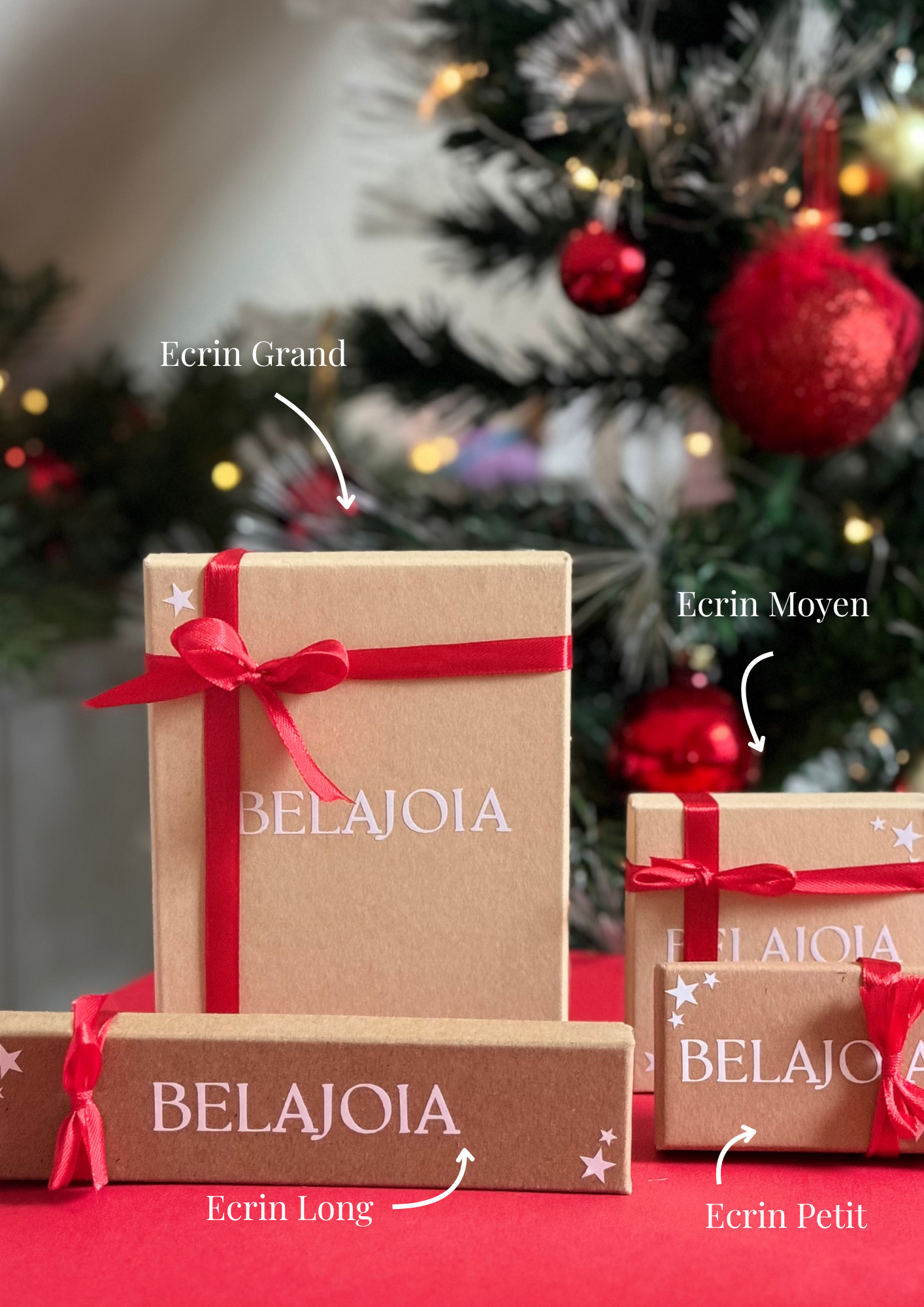 Emballage Cadeau - Ecrin & Sac