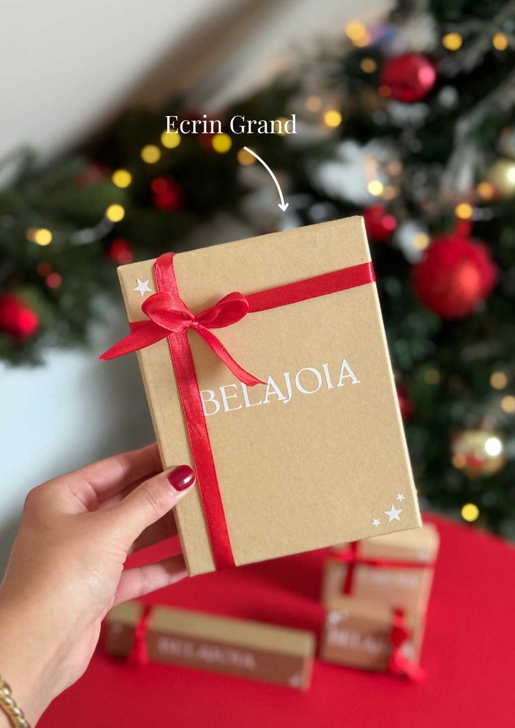 Emballage Cadeau - Ecrin & Sac