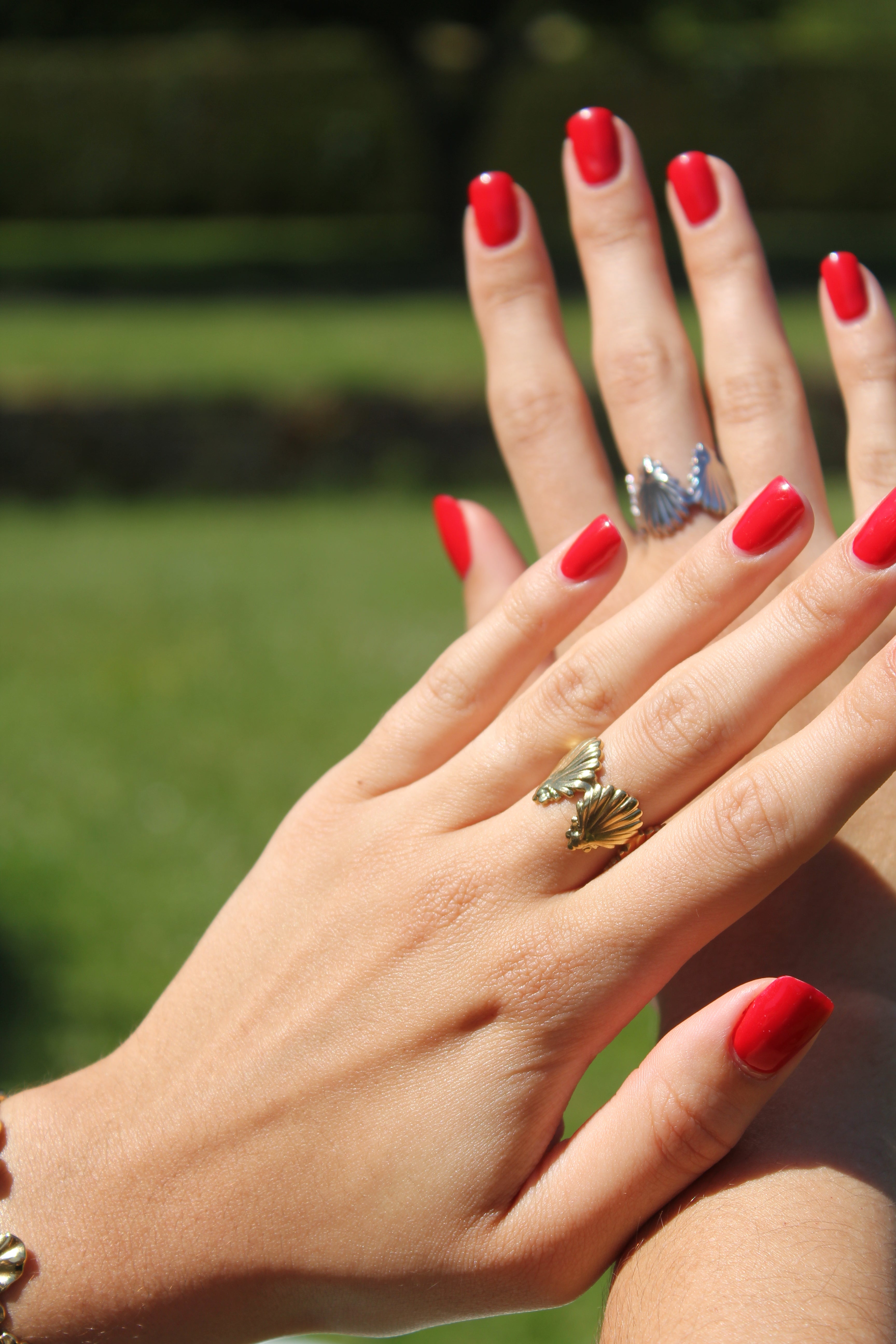 Nautica - Bague Coquillage