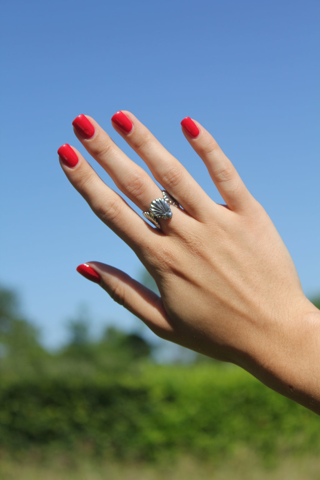 Nautica - Bague Coquillage