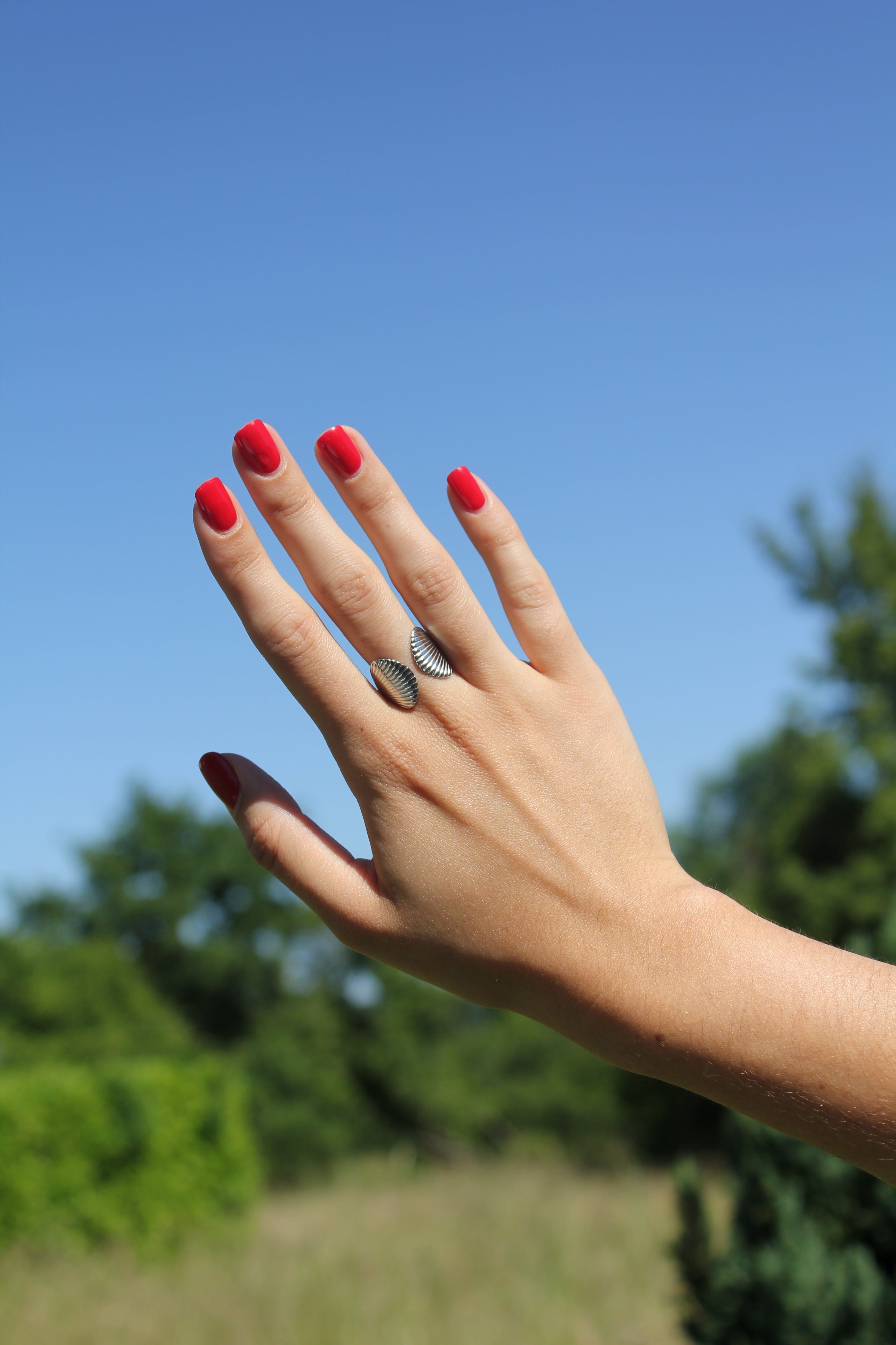 Baïa - Bague Coquillage Dorée ou Argentée